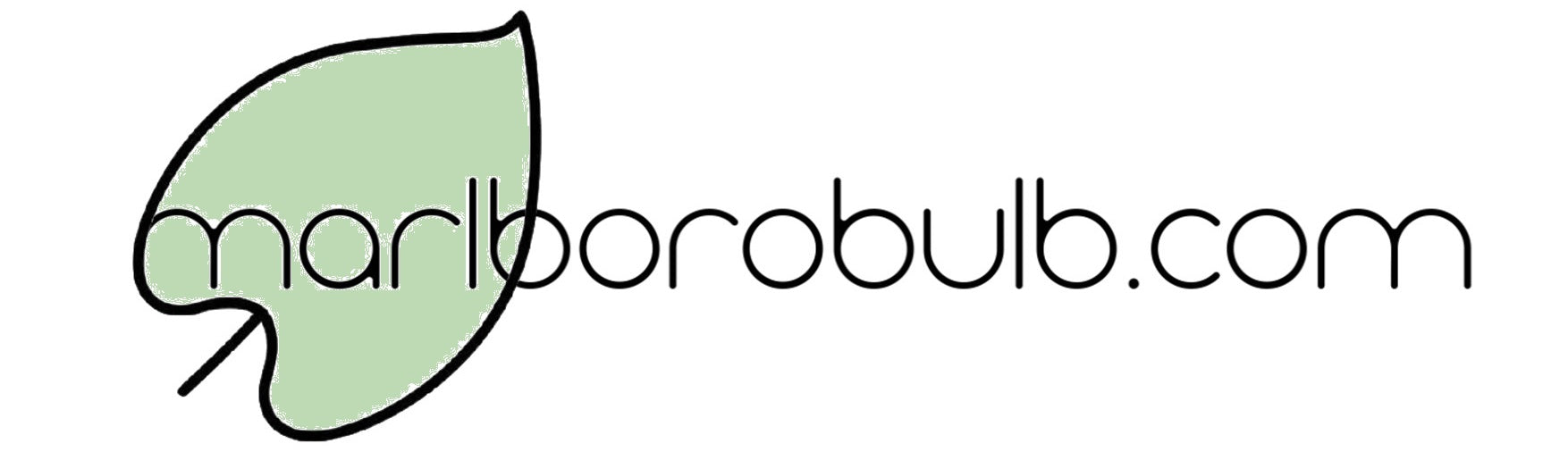 marlborobulb.com